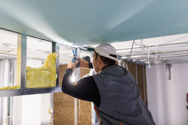 Best Residential Insulation in Attica, MI